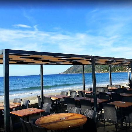 Bas De Villa Jardin Plein Sud Proche Mer Clim-Wifi Saint-Mandrier-sur-Mer Bagian luar foto