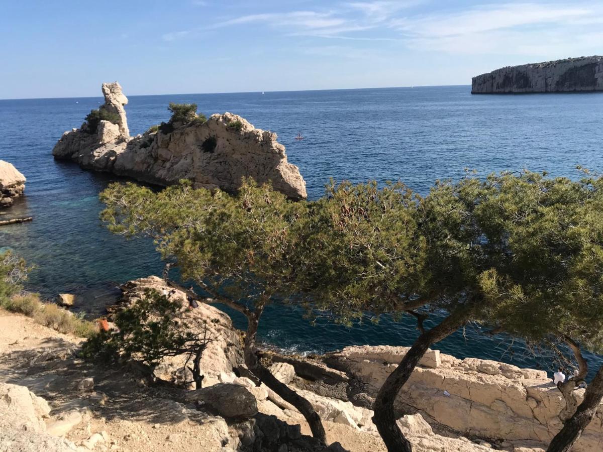 Bas De Villa Jardin Plein Sud Proche Mer Clim-Wifi Saint-Mandrier-sur-Mer Bagian luar foto