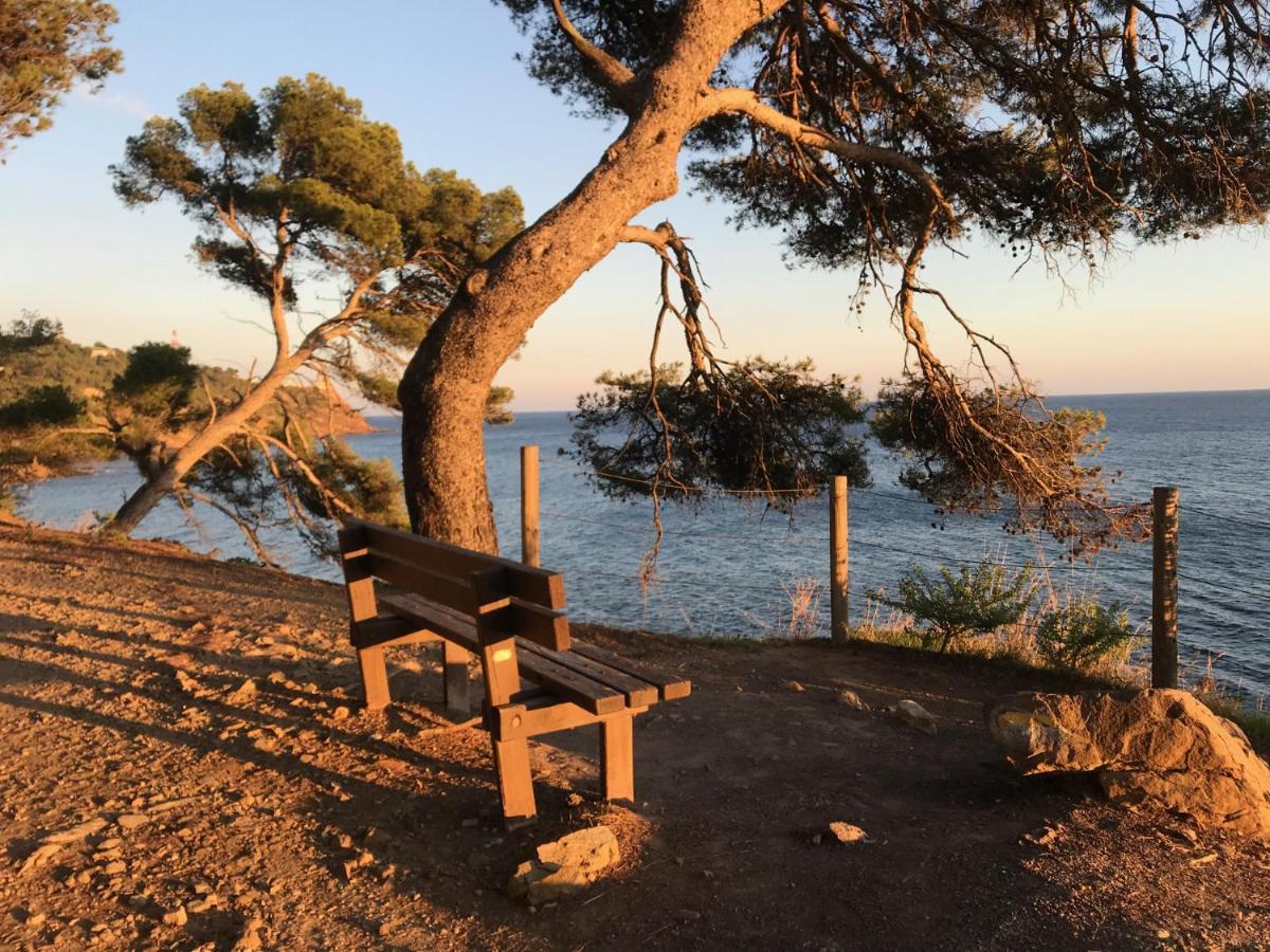Bas De Villa Jardin Plein Sud Proche Mer Clim-Wifi Saint-Mandrier-sur-Mer Bagian luar foto