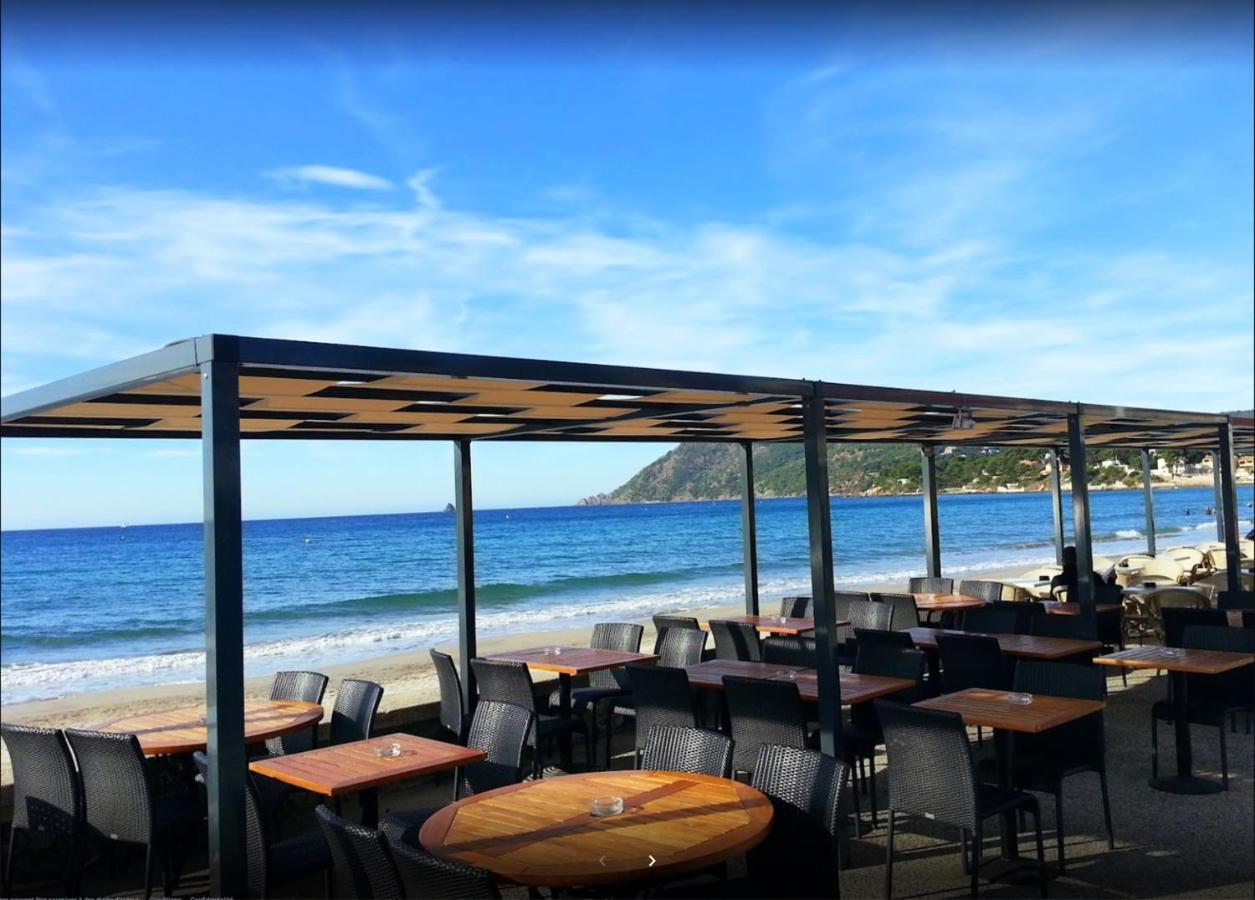 Bas De Villa Jardin Plein Sud Proche Mer Clim-Wifi Saint-Mandrier-sur-Mer Bagian luar foto